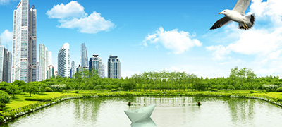 ��˾����